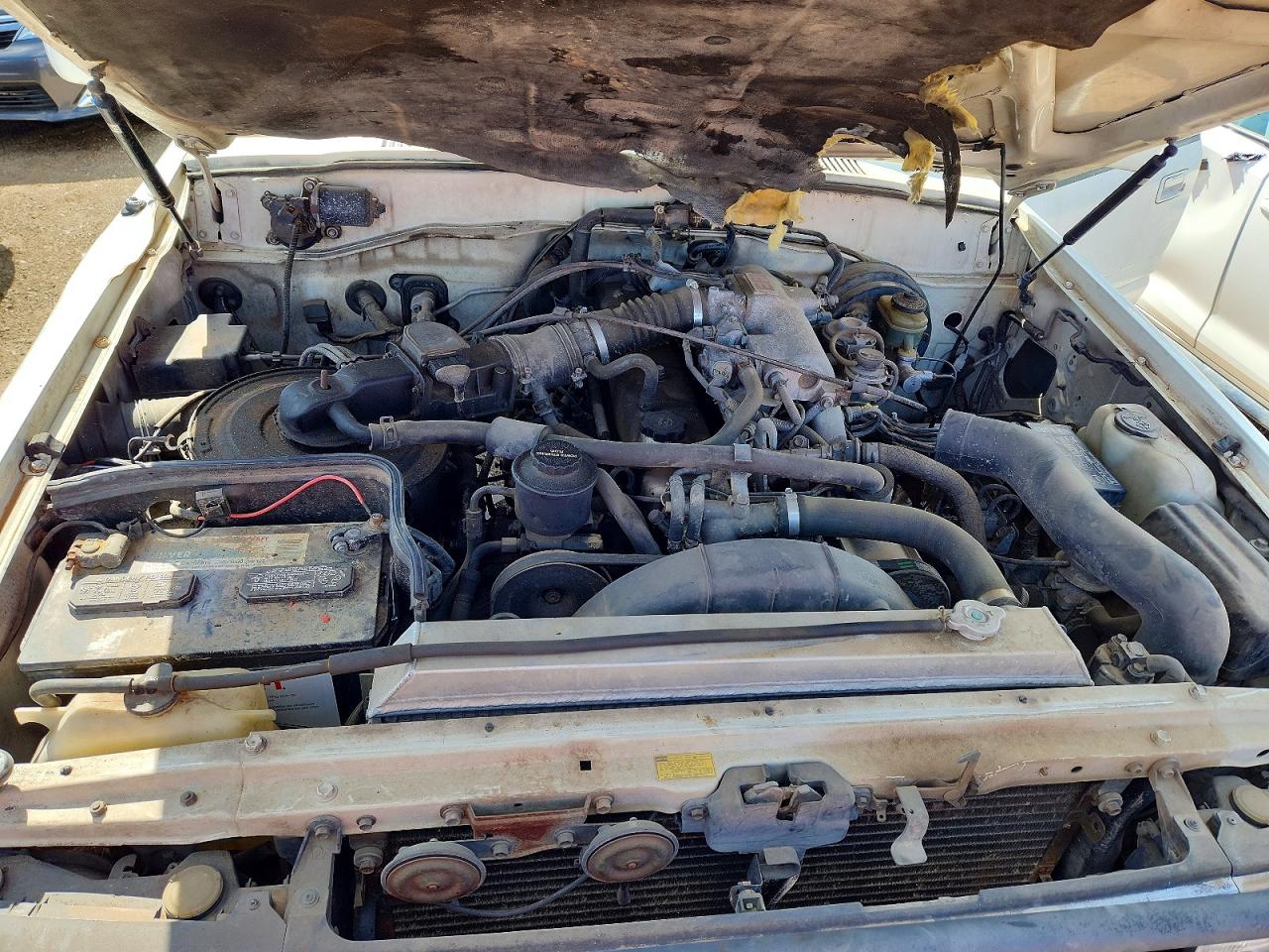 1992 Toyota Land Cruiser Fj80 White vin: JT3FJ80W6N0041559