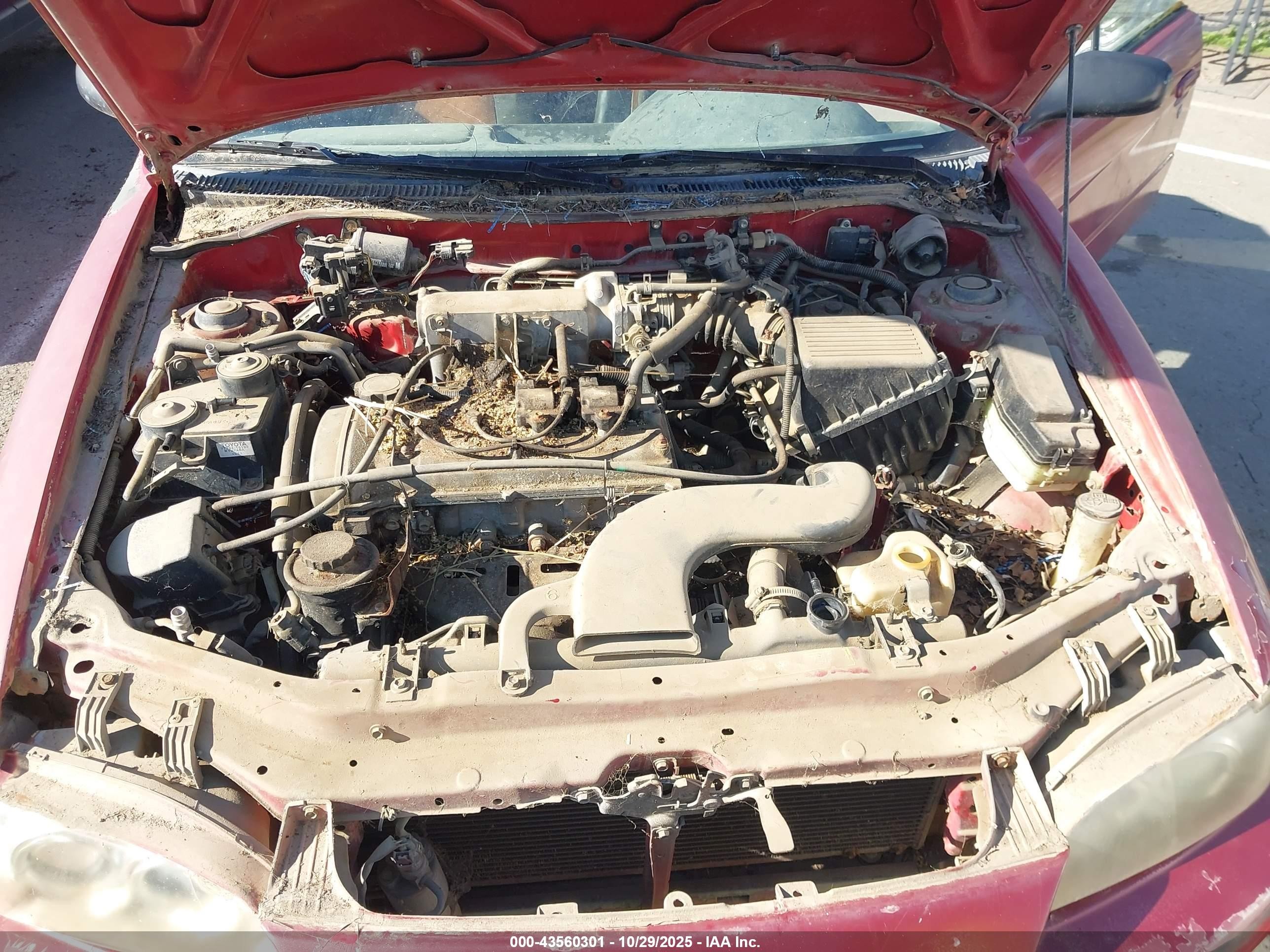 1997 Toyota Paseo   Red vin: JT5FC52HXV0036816