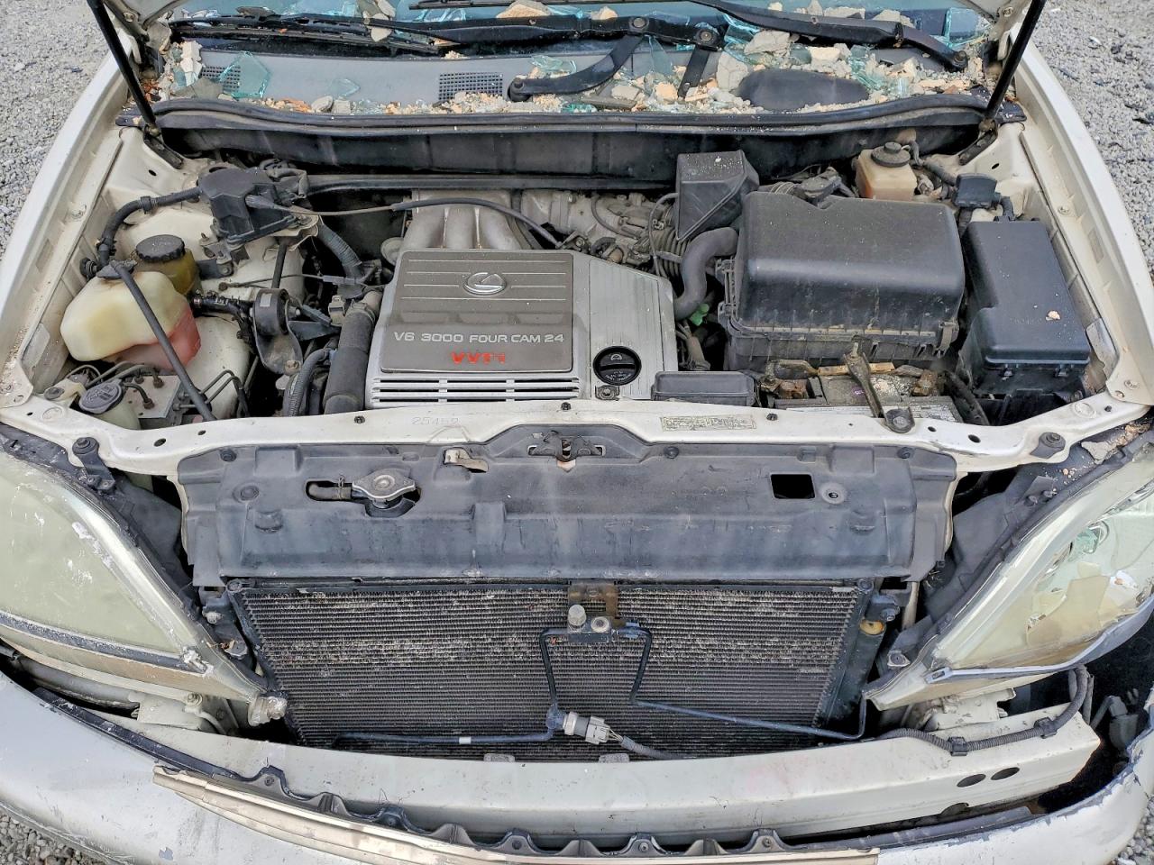 2000 Lexus Rx 300 Cream vin: JT6GF10U0Y0077511