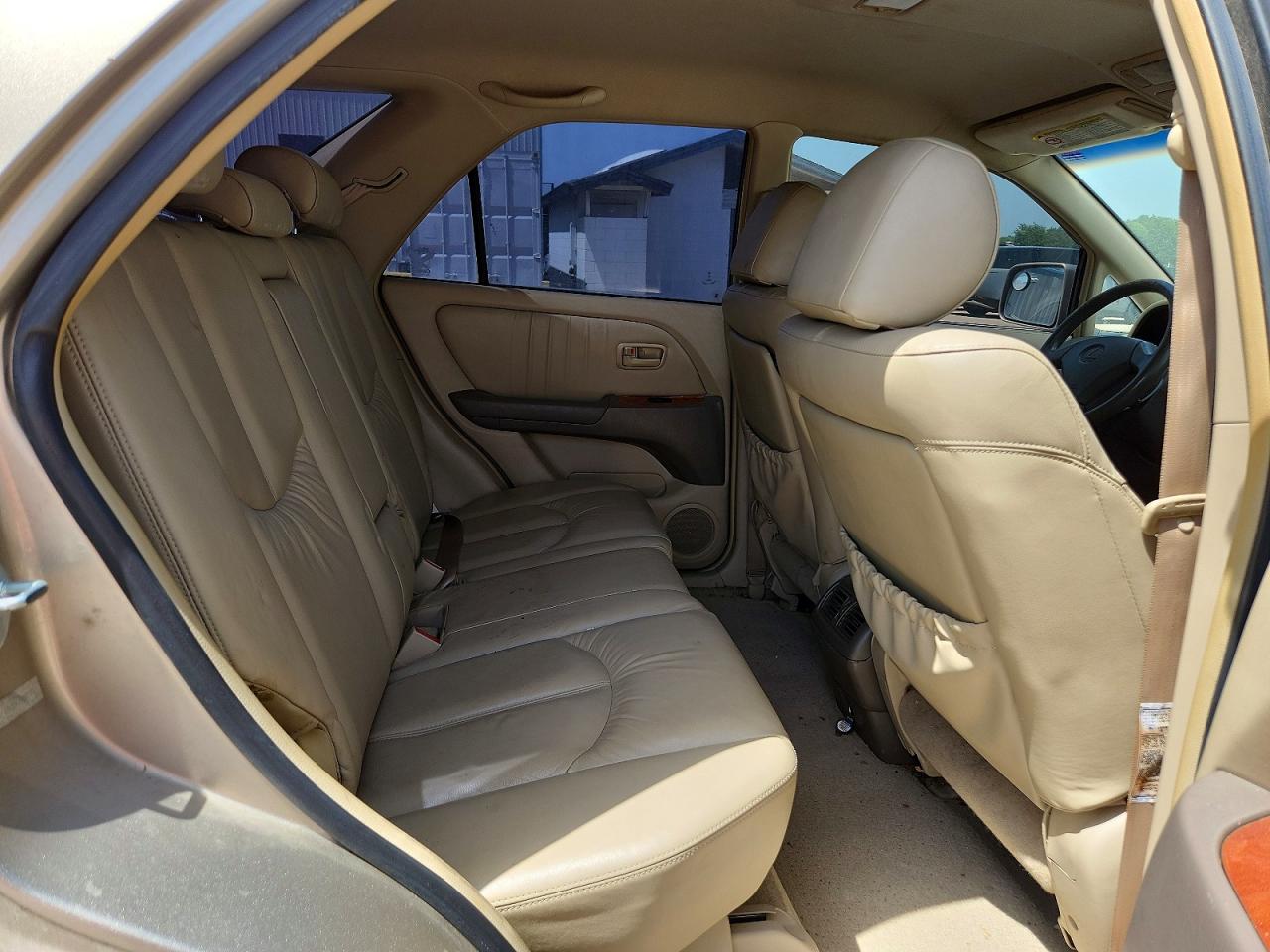 1999 Lexus Rx 300 Tan vin: JT6GF10U5X0035771