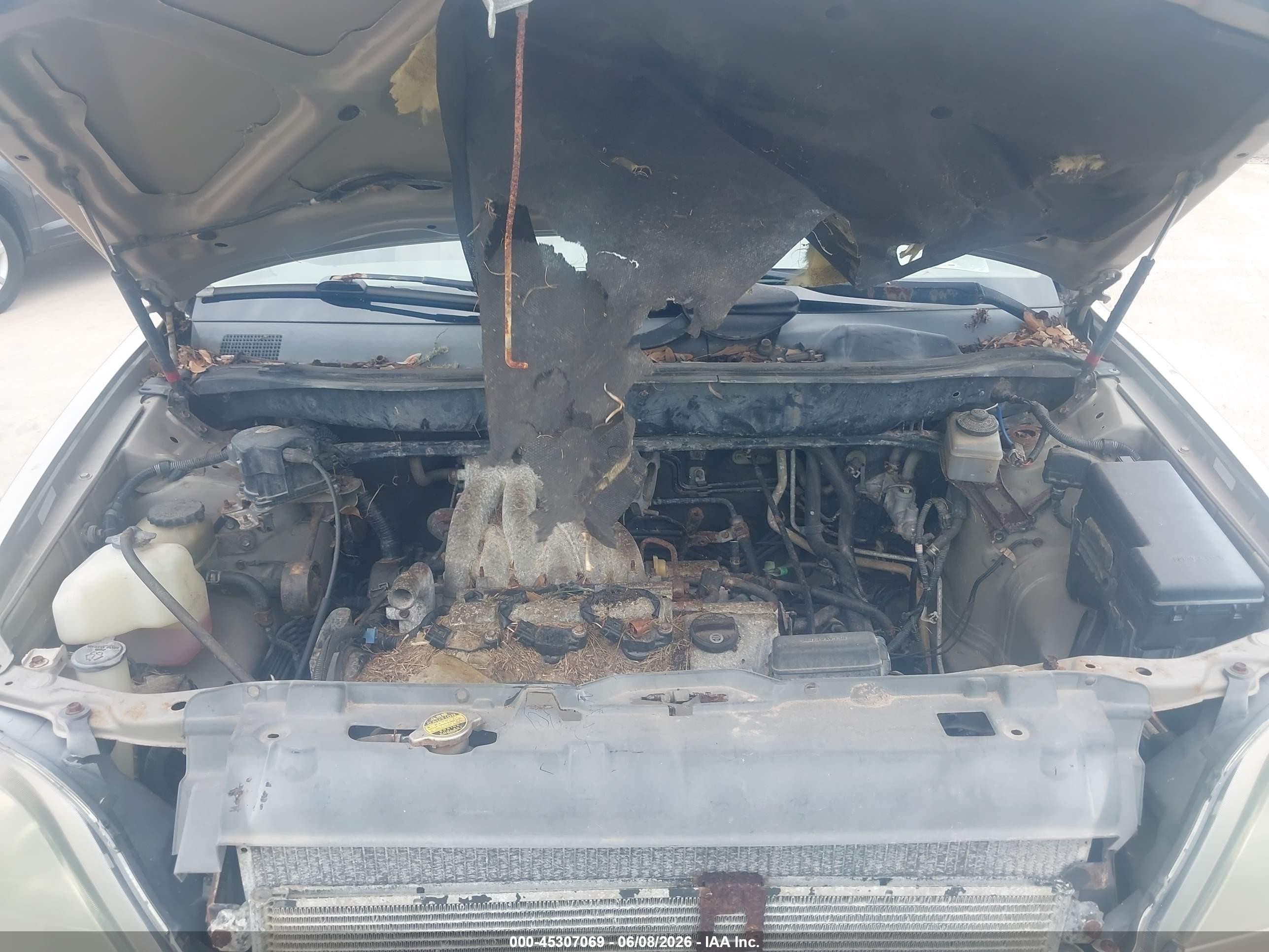 2000 Lexus Rx 300   Gold vin: JT6GF10U5Y0060042