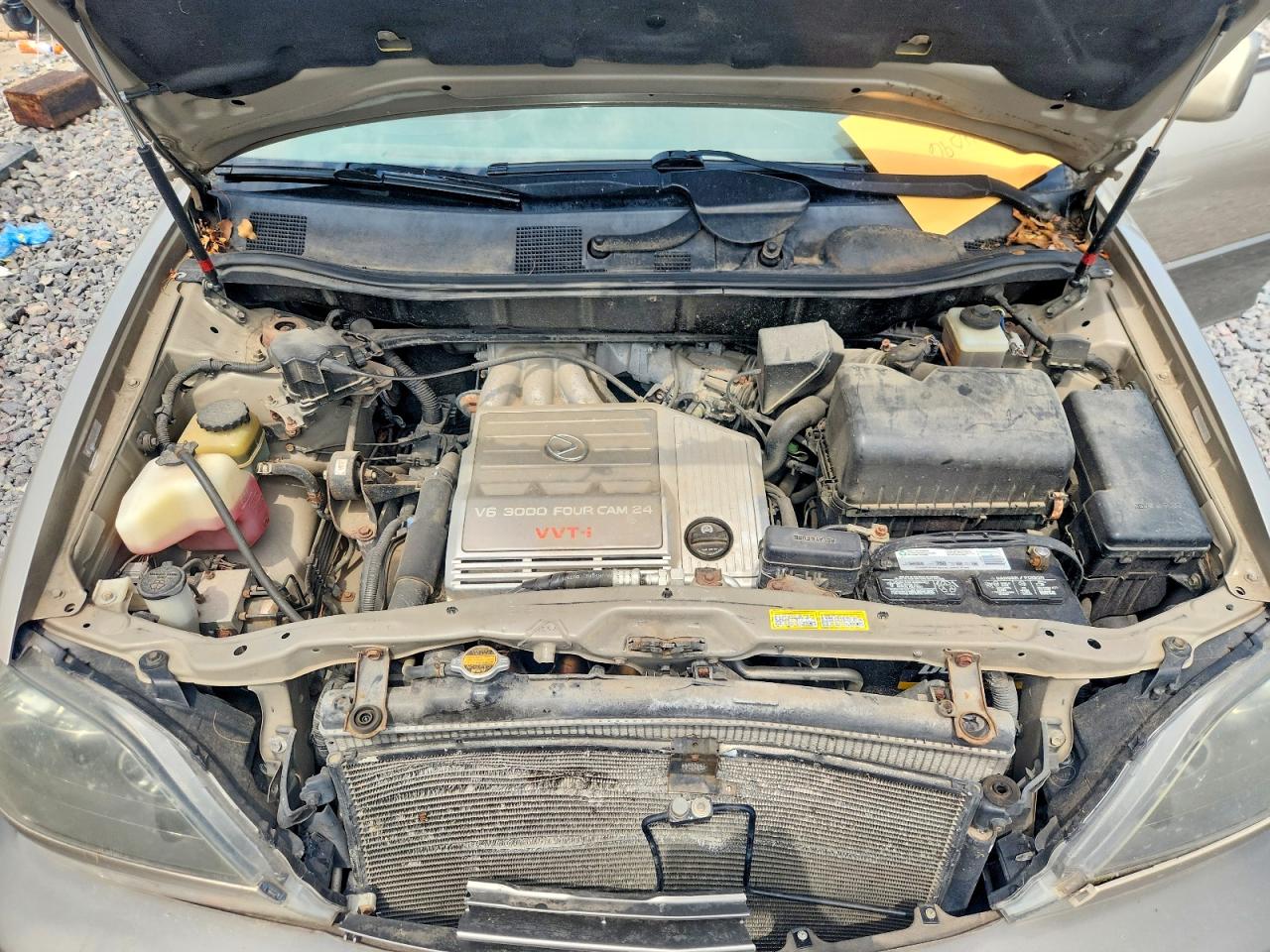 1999 Lexus Rx 300 Beige vin: JT6GF10U6X0026433