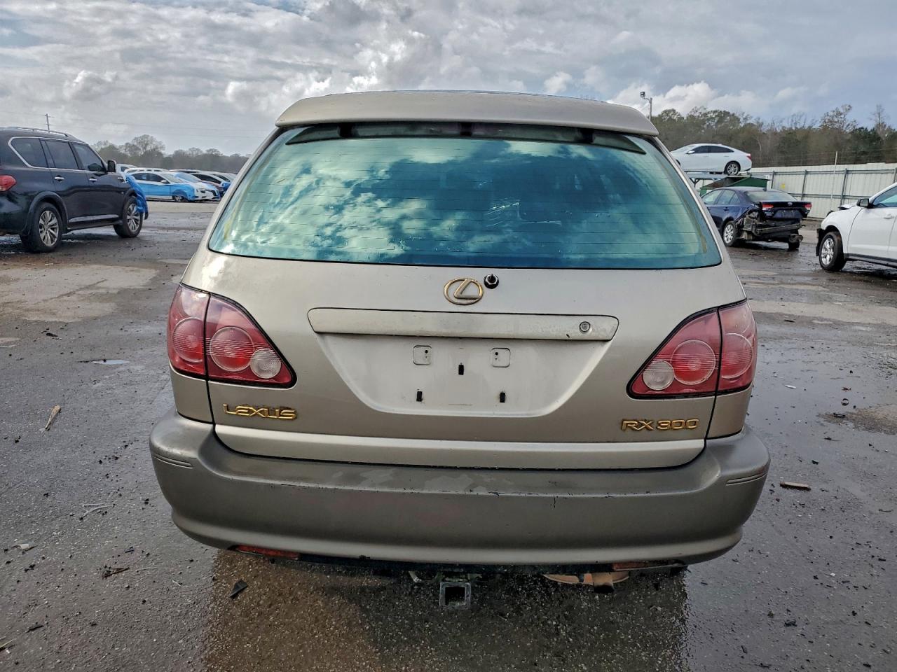 1999 Lexus Rx 300 Золотой vin: JT6GF10U7X0037182