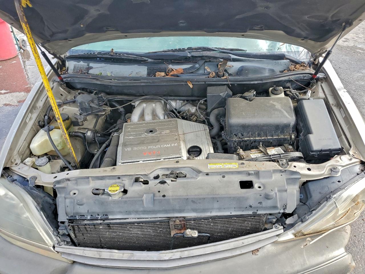 1999 Lexus Rx 300 Золотой vin: JT6GF10U7X0037182
