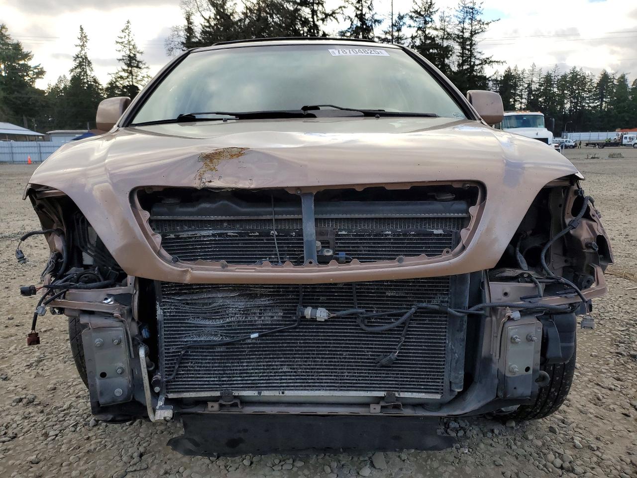 1999 Lexus Rx 300 Base Золотой vin: JT6GF10U8X0005843