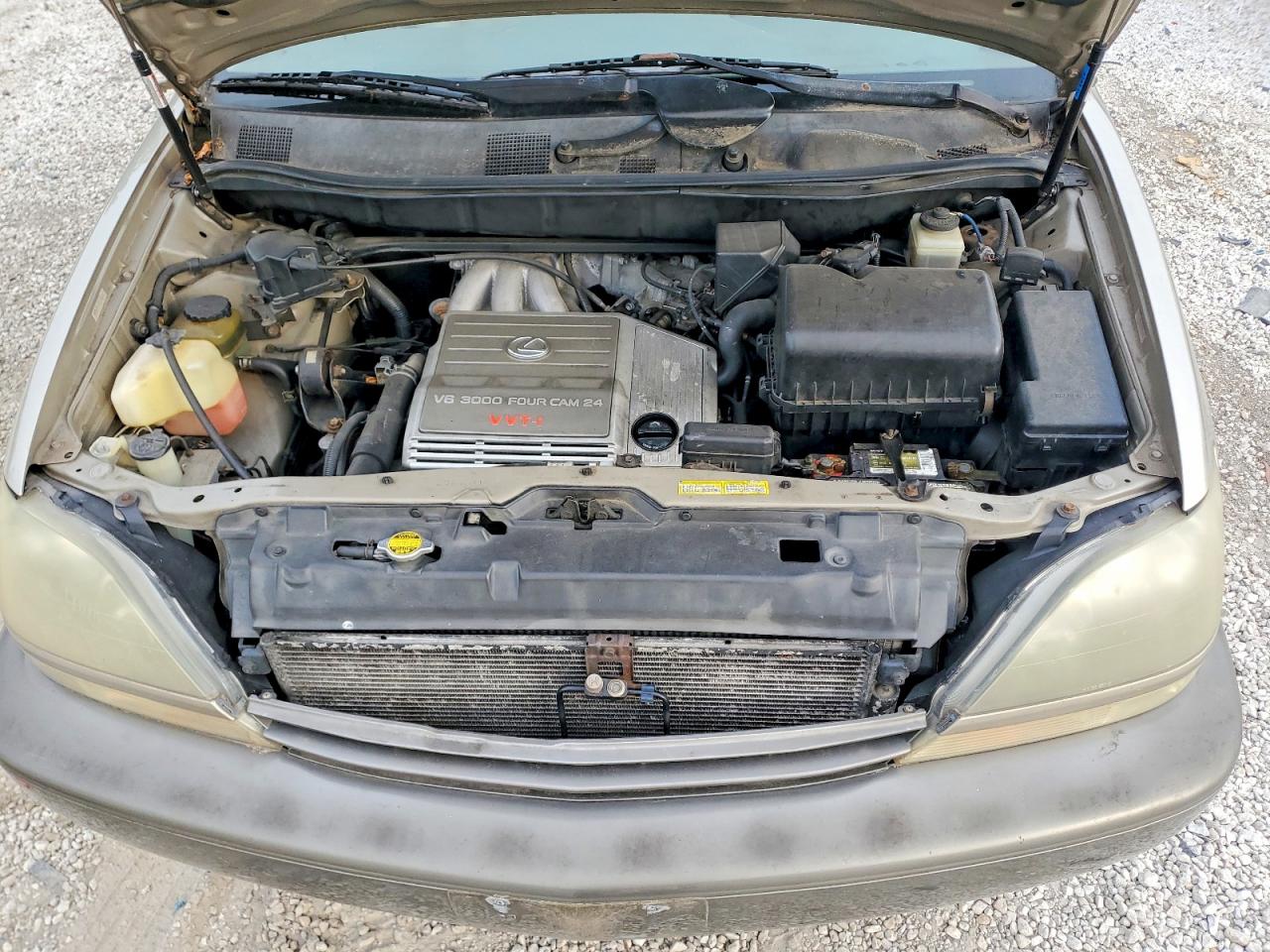 2000 Lexus Rx 300 Beige vin: JT6HF10U1Y0145058