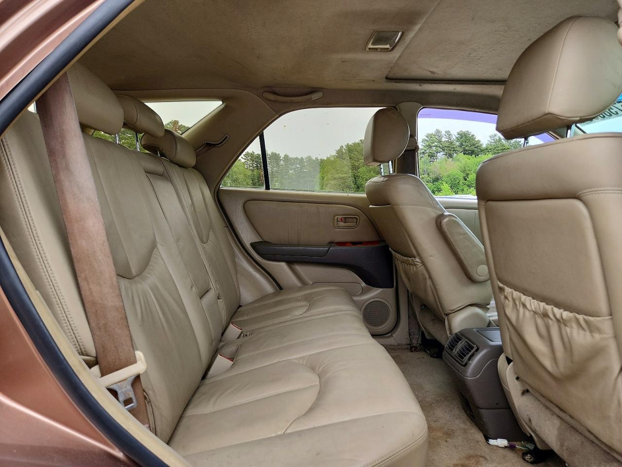 1999 Lexus Rx 300 Brown vin: JT6HF10U2X0063502