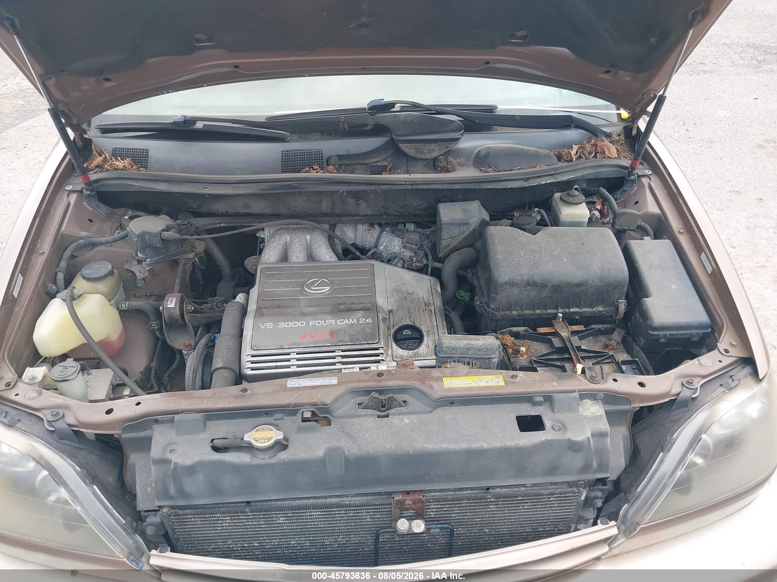 1999 Lexus Rx 300   Коричневый vin: JT6HF10U3X0081331