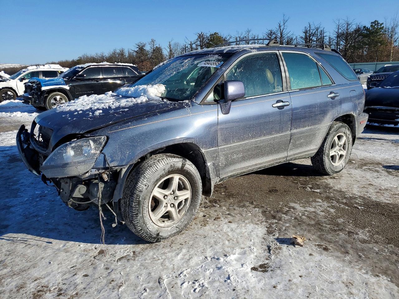 1999 Lexus Rx 300 Серый vin: JT6HF10U5X0041459