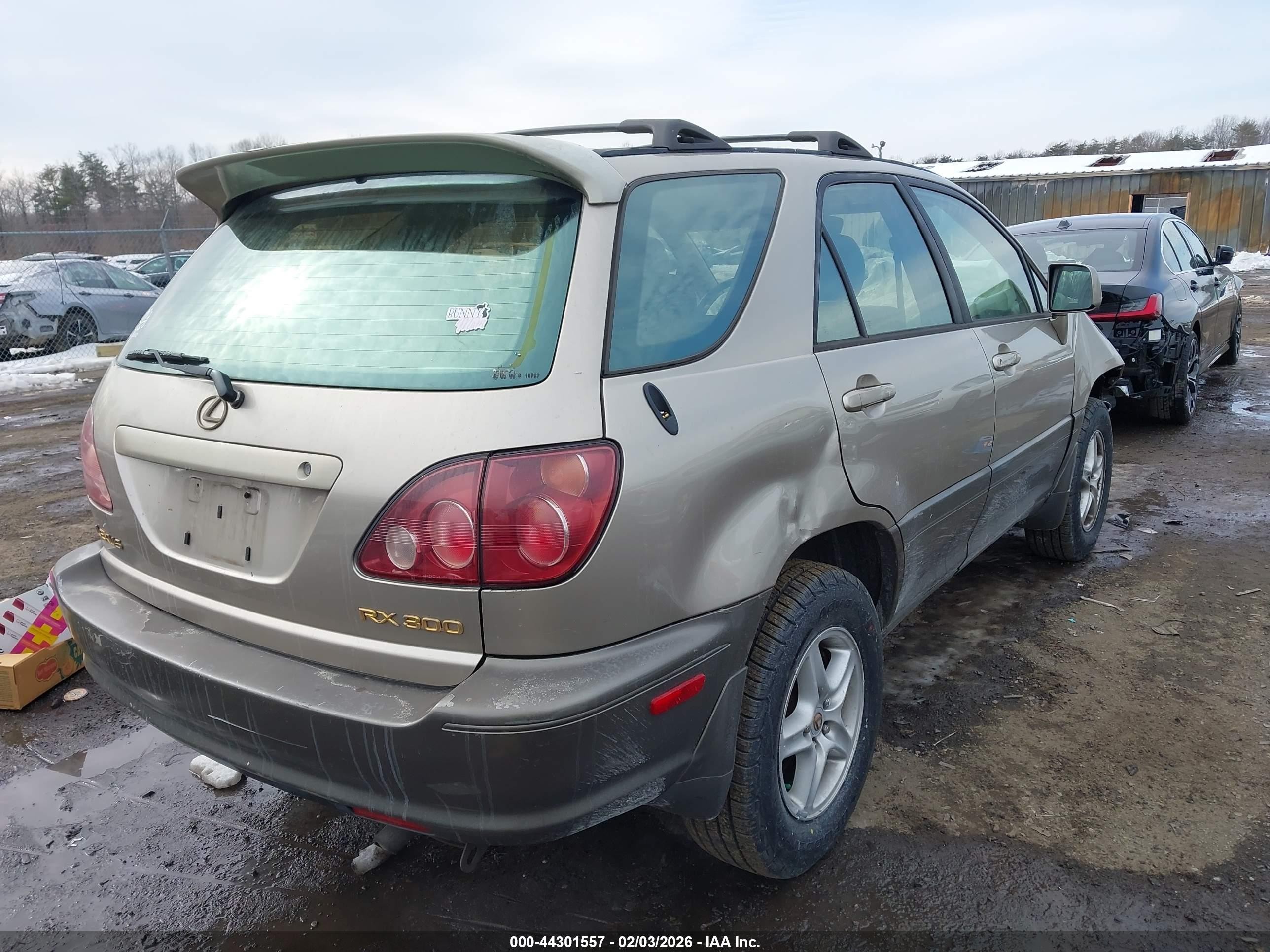 2000 Lexus Rx 300   Beige vin: JT6HF10U5Y0142213