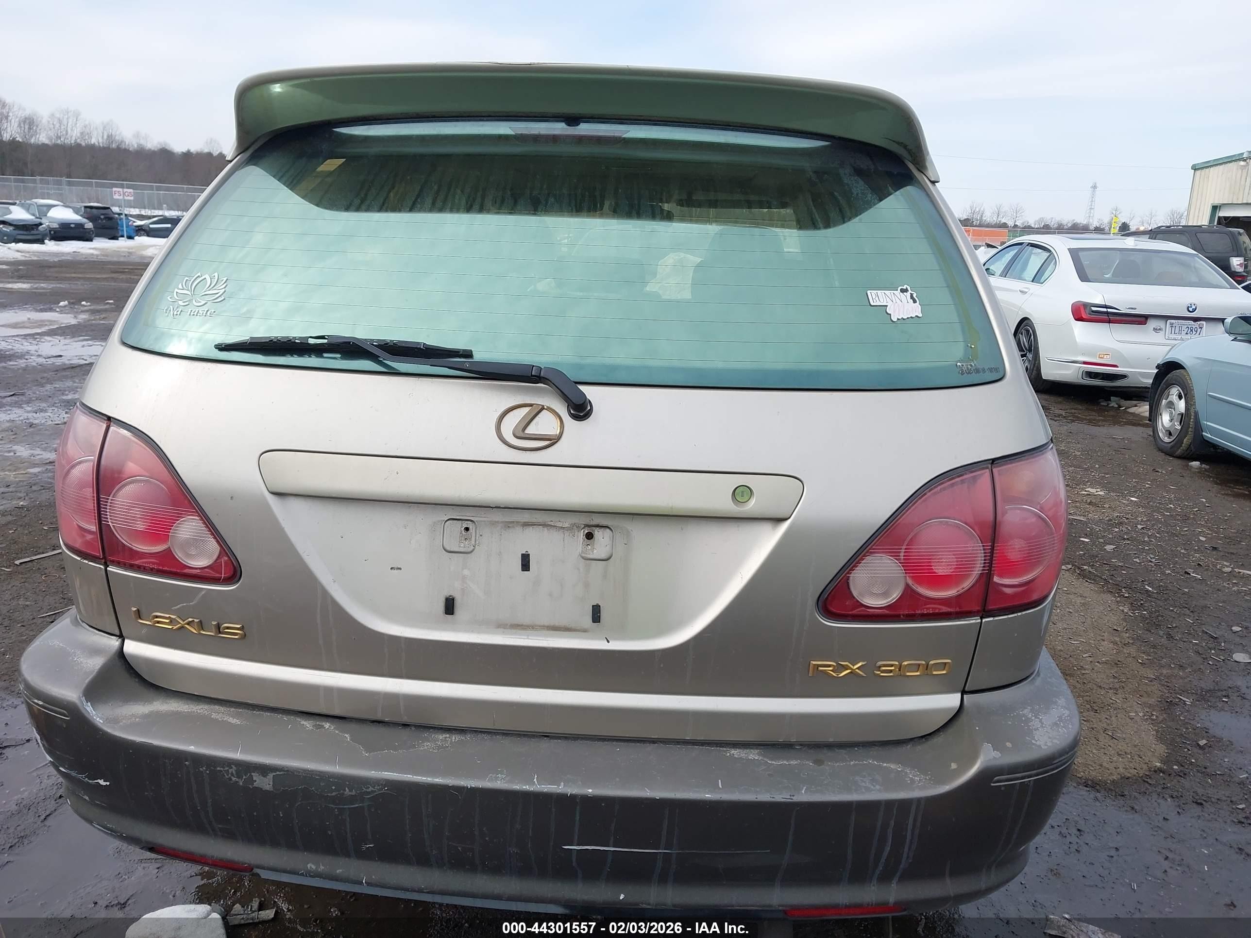 2000 Lexus Rx 300   Beige vin: JT6HF10U5Y0142213