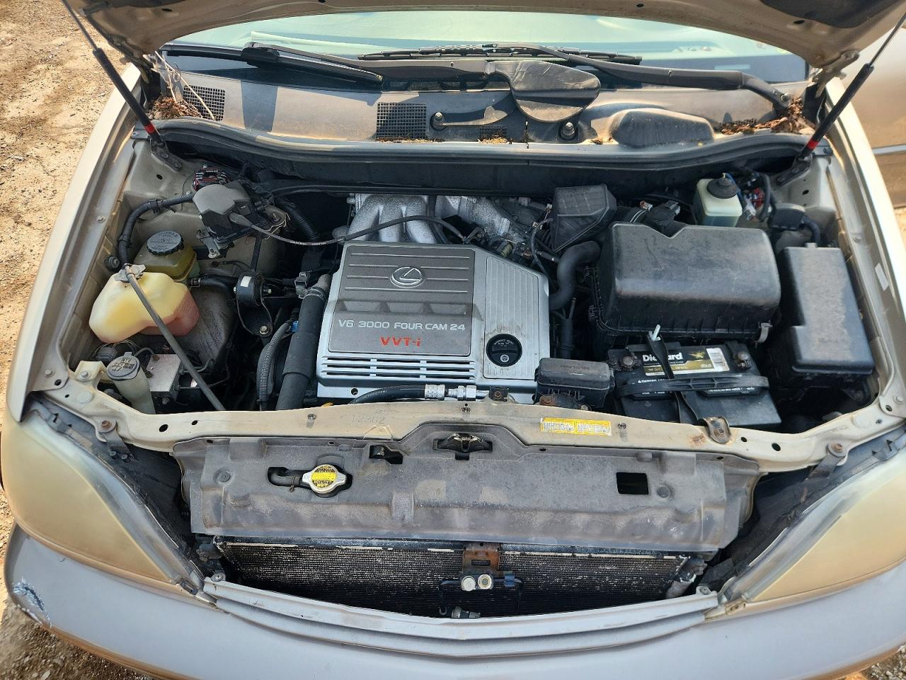 2000 Lexus Rx 300 Beige vin: JT6HF10U7Y0109813