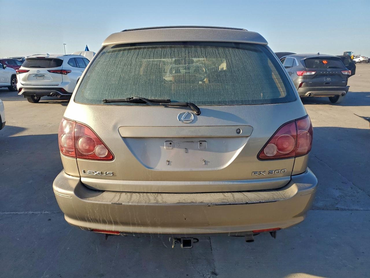 1999 Lexus Rx 300 Бежевый vin: JT6HF10U8X0082894