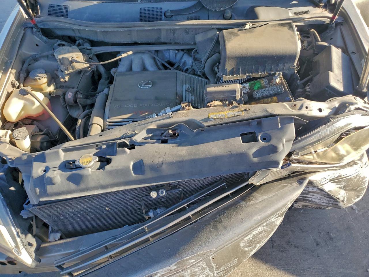 1999 Lexus Rx 300 Бежевый vin: JT6HF10U8X0082894