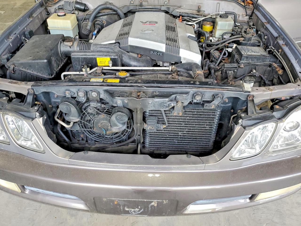 1998 Lexus Lx 470 Желто-коричневый vin: JT6HT00W6W0019327