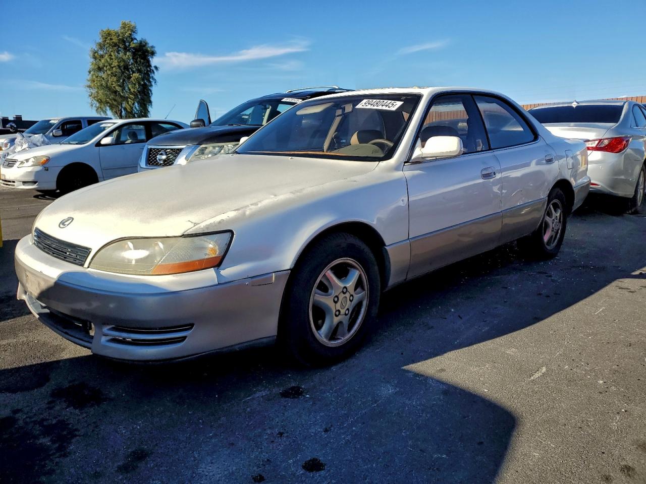 1996 Lexus Es 300 White vin: JT8BF12G4T0154544