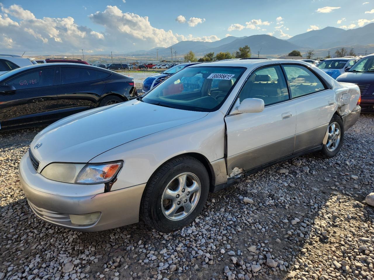 JT8BF22G8V5007803