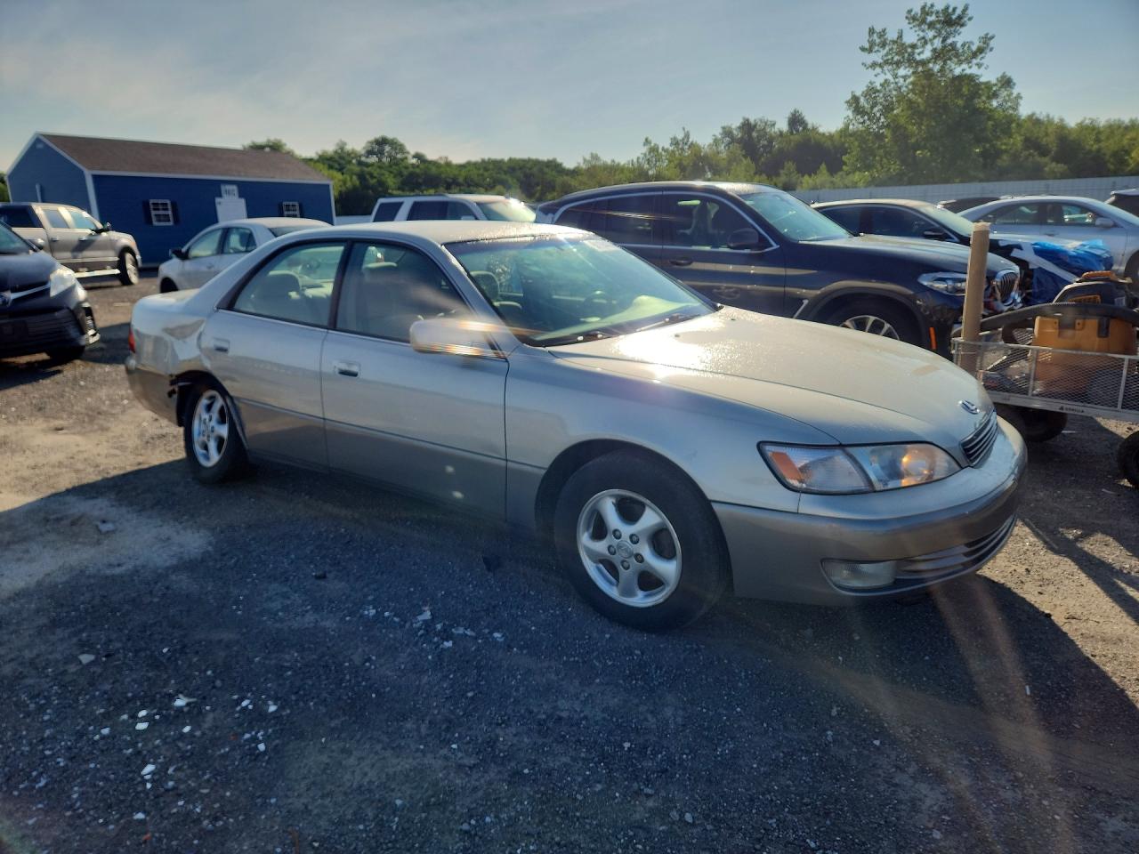 1999 Lexus Es 300 Gray vin: JT8BF28G4X5057771