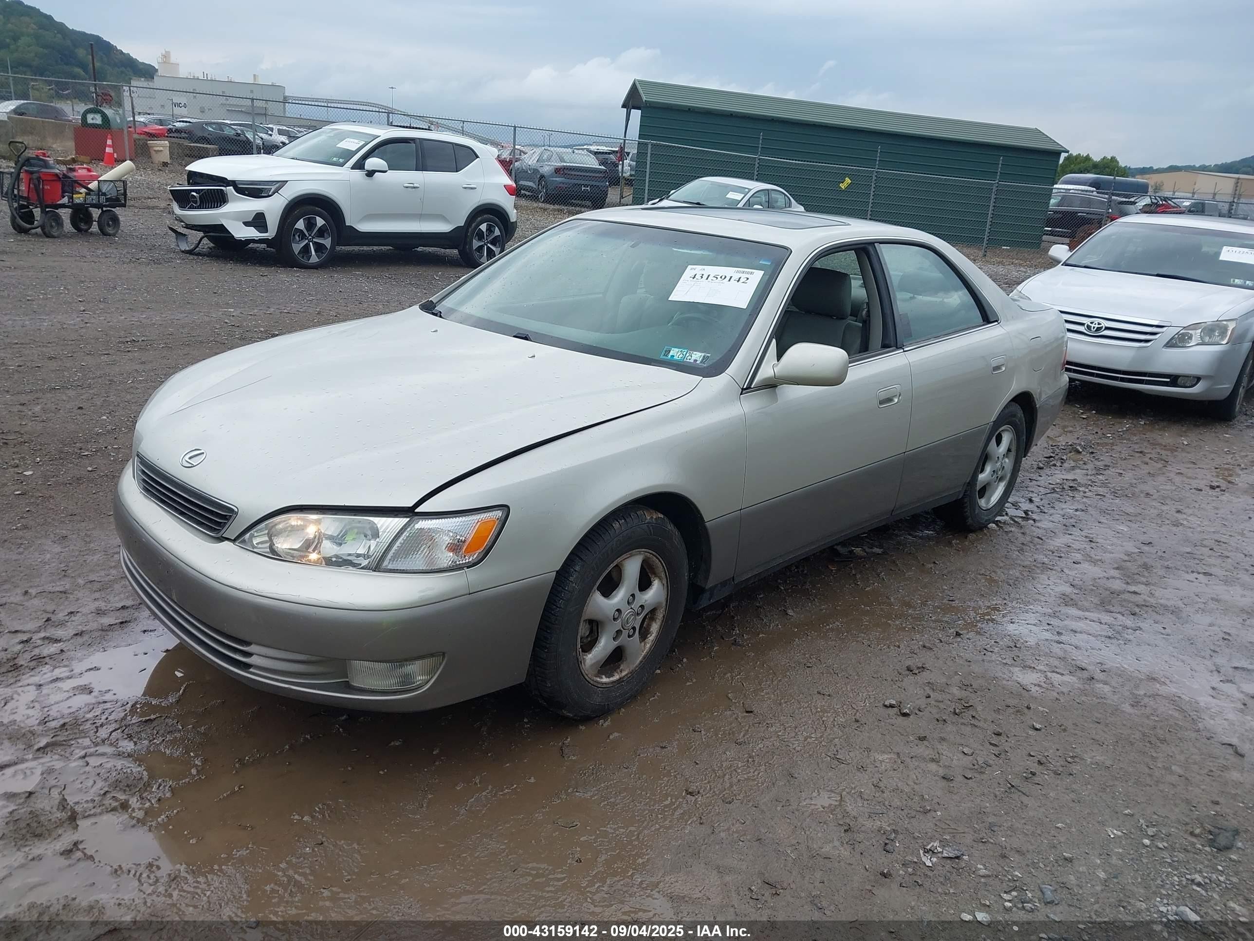 1999 Lexus Es 300   Champagne vin: JT8BF28G7X5064035