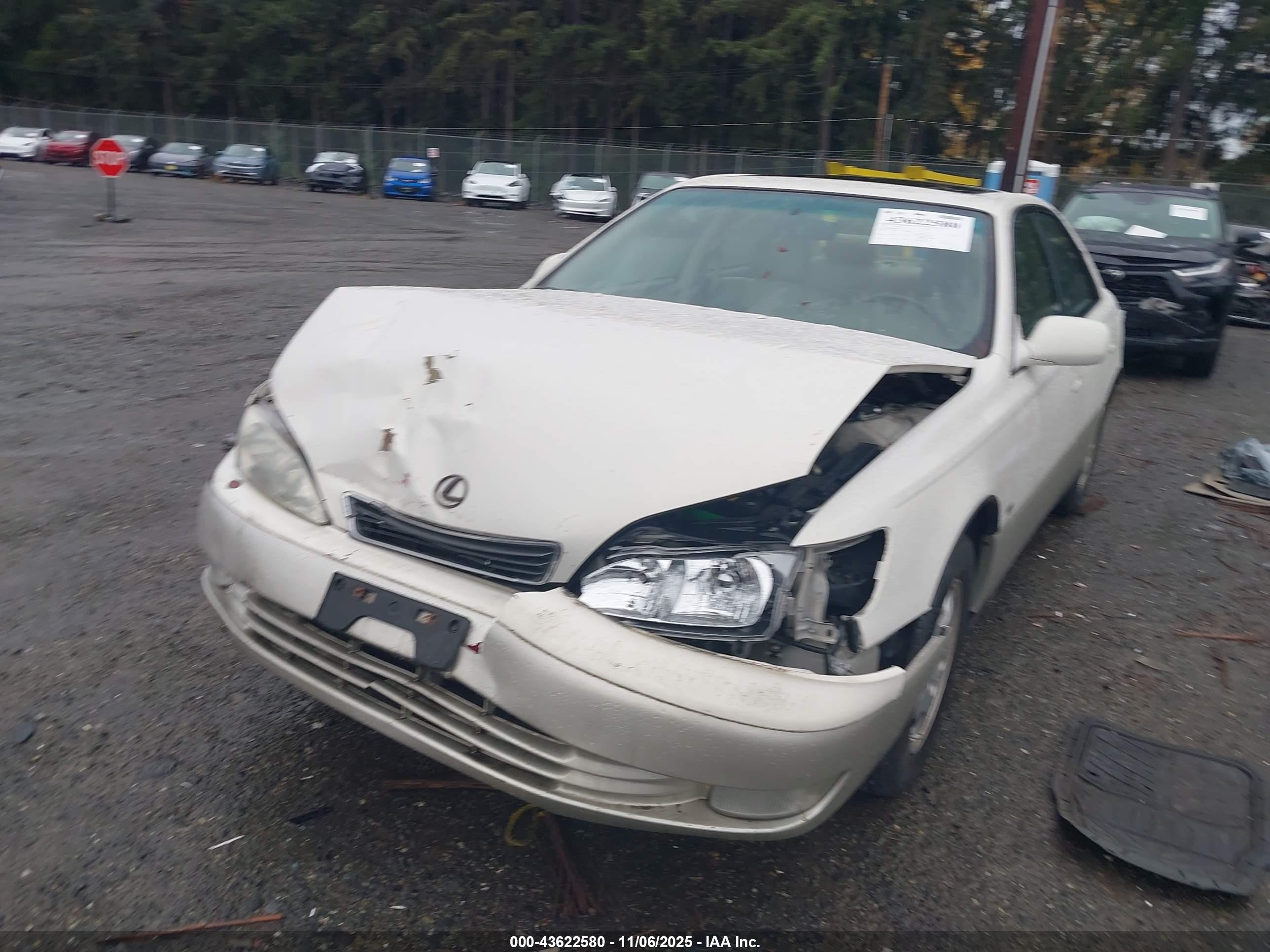 1999 Lexus Es 300   Beige vin: JT8BF28G8X0202307
