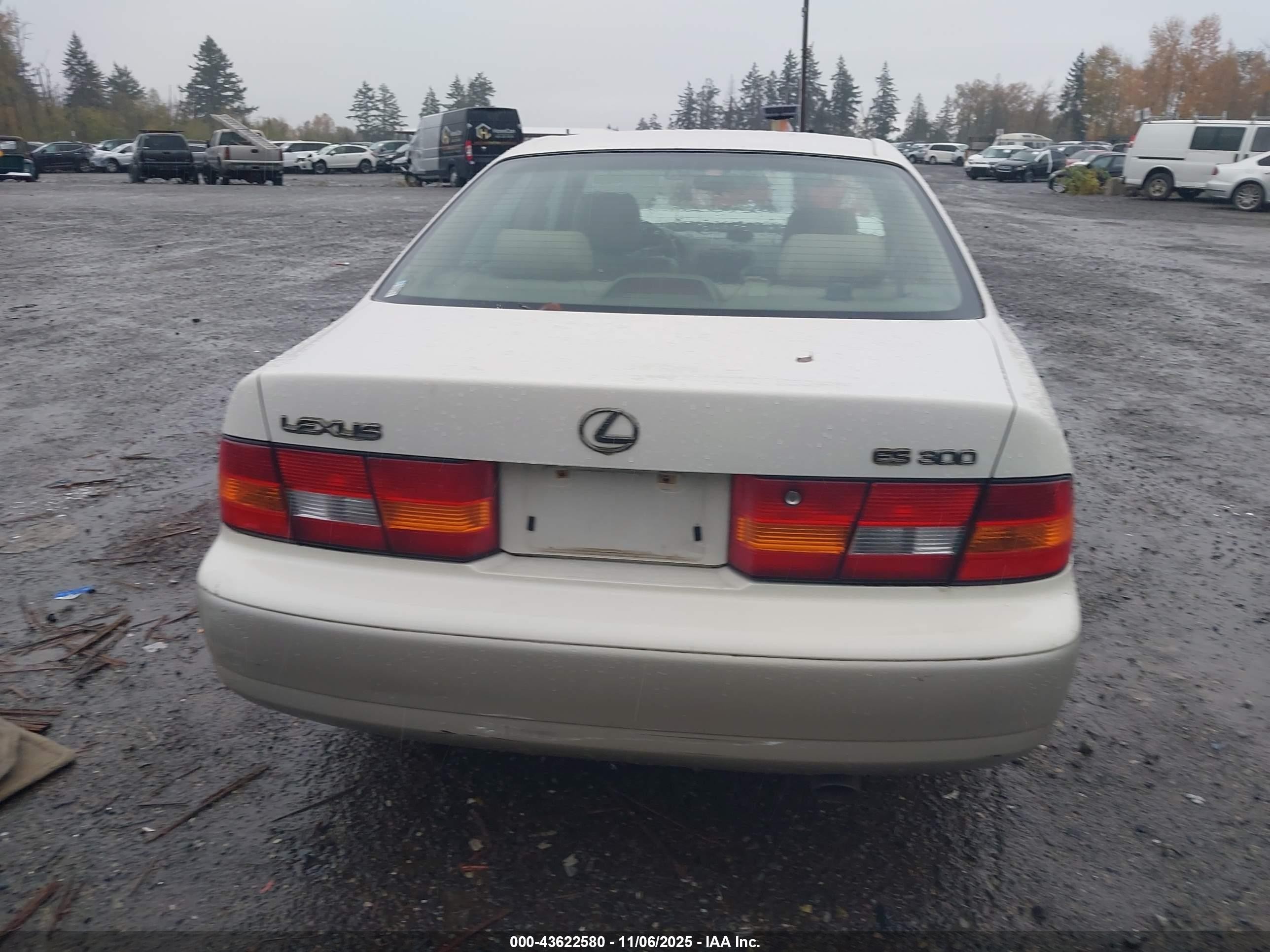 1999 Lexus Es 300   Beige vin: JT8BF28G8X0202307
