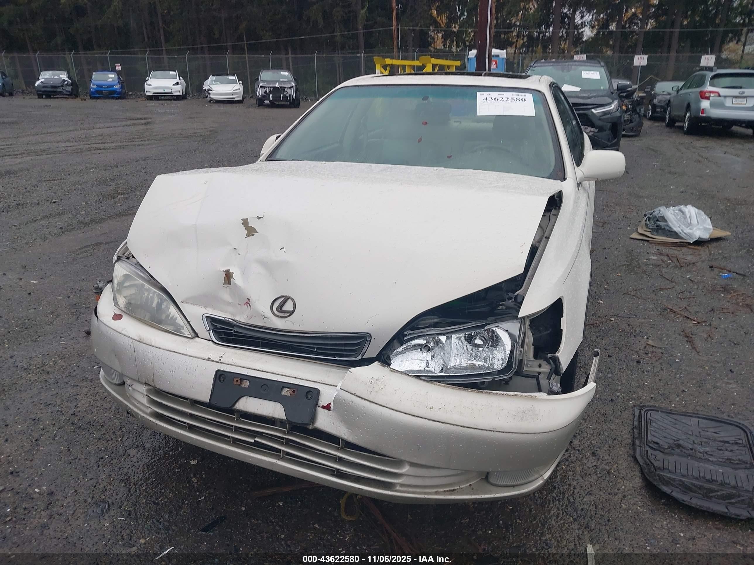 1999 Lexus Es 300   Beige vin: JT8BF28G8X0202307