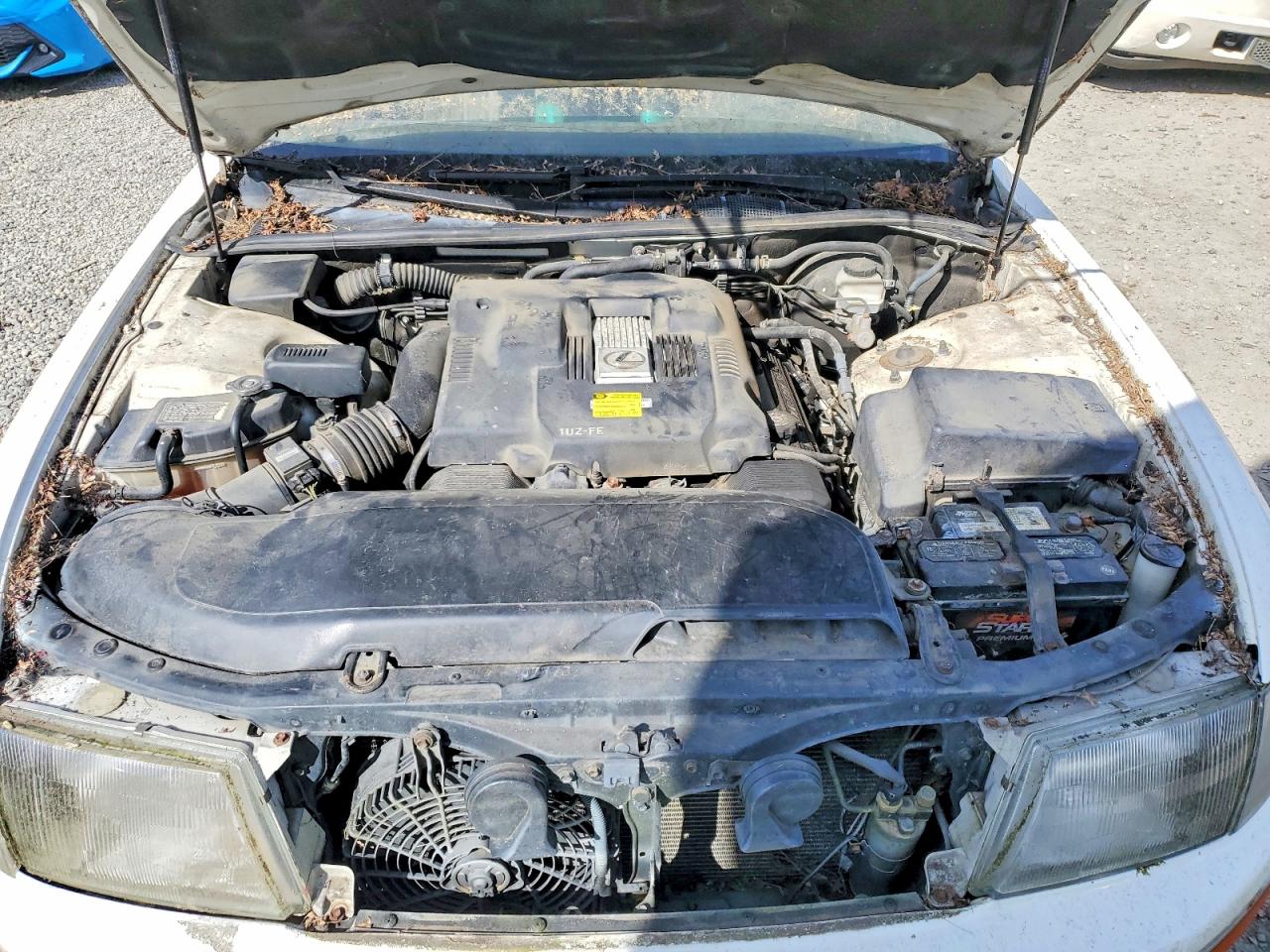1996 Lexus Ls 400 Белый vin: JT8BH22F9T0061736