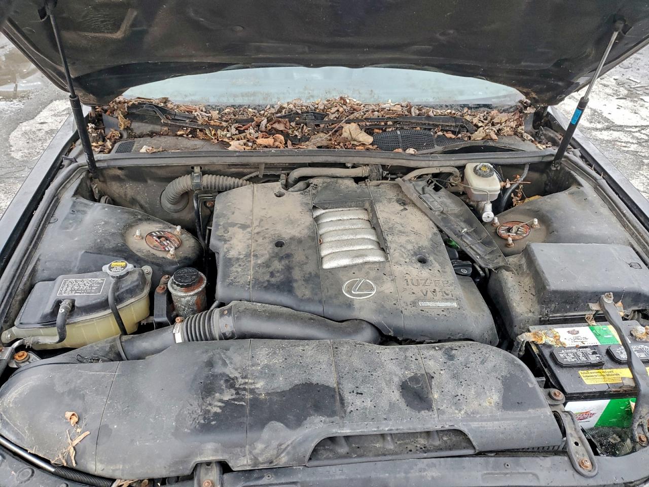 2000 Lexus Ls 400 Черный vin: JT8BH28F1Y0172344
