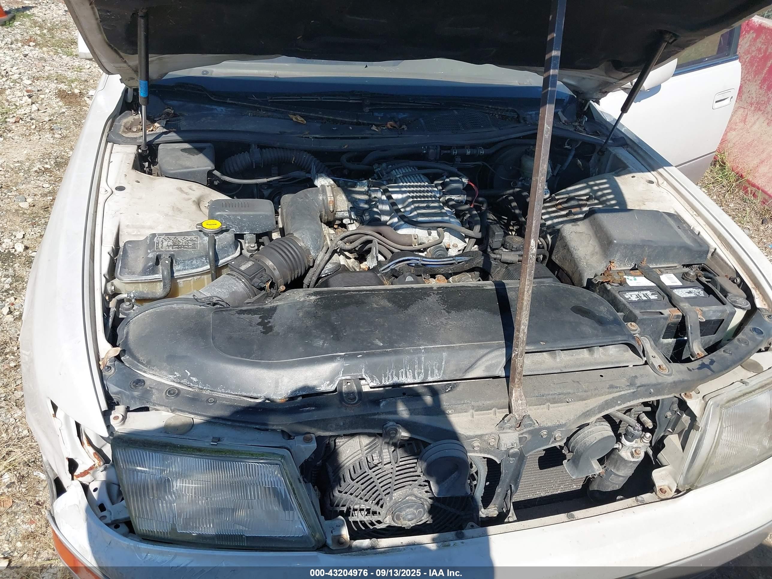 1997 Lexus Ls 400   White vin: JT8BH28F3V0093883