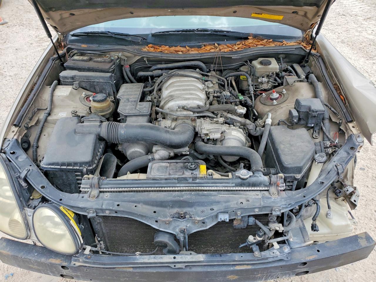 2000 Lexus Gs 400 Золотой vin: JT8BH68X5Y0022026