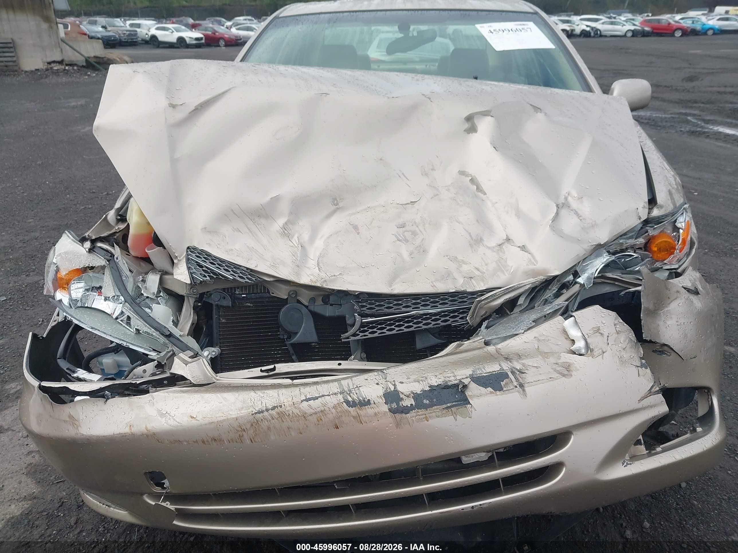 2004 Toyota Camry Xle V6 Gold vin: JTDBF30K040152165