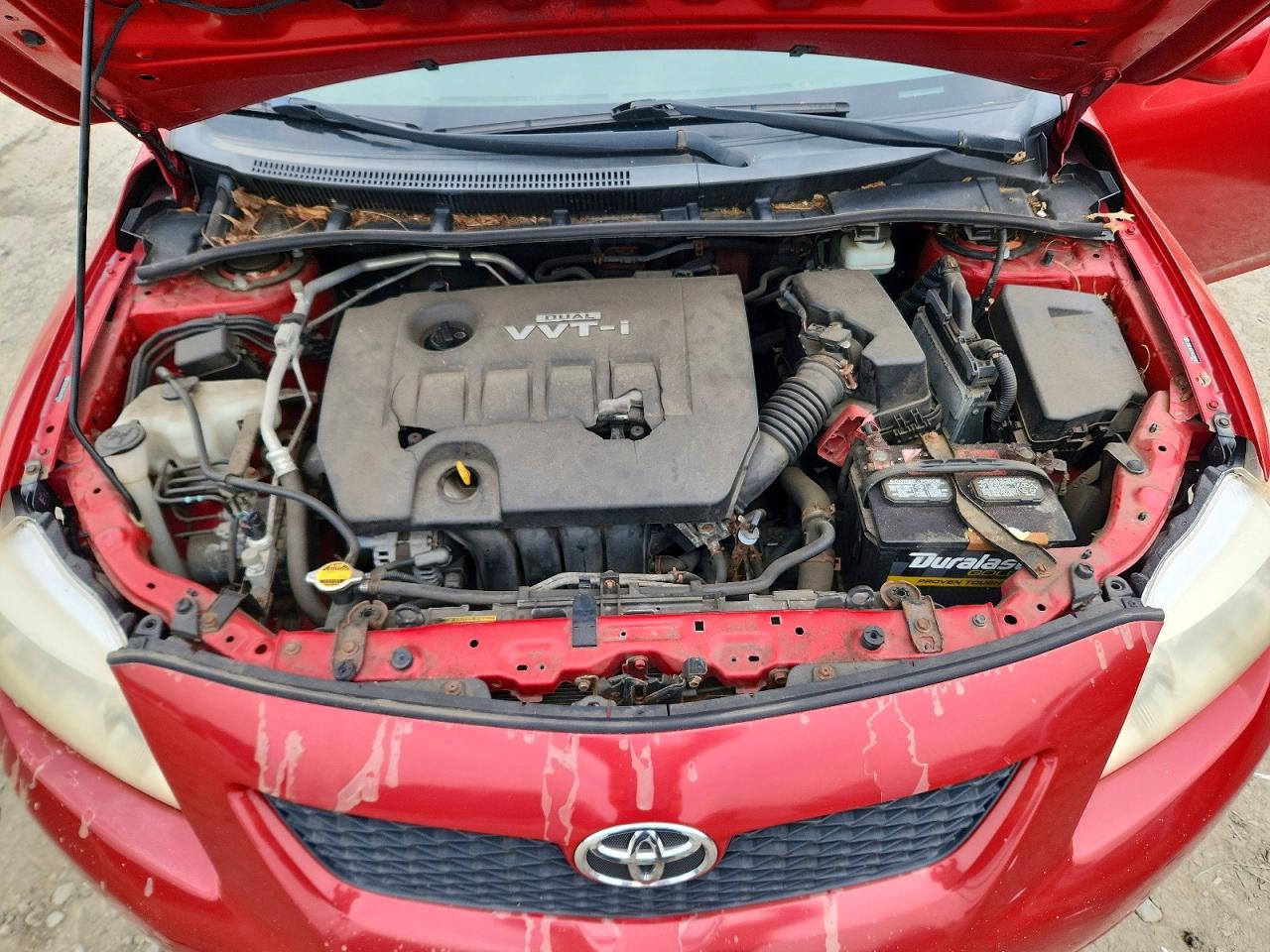 2009 Toyota Corolla Le Красный vin: JTDBL40E69J008940