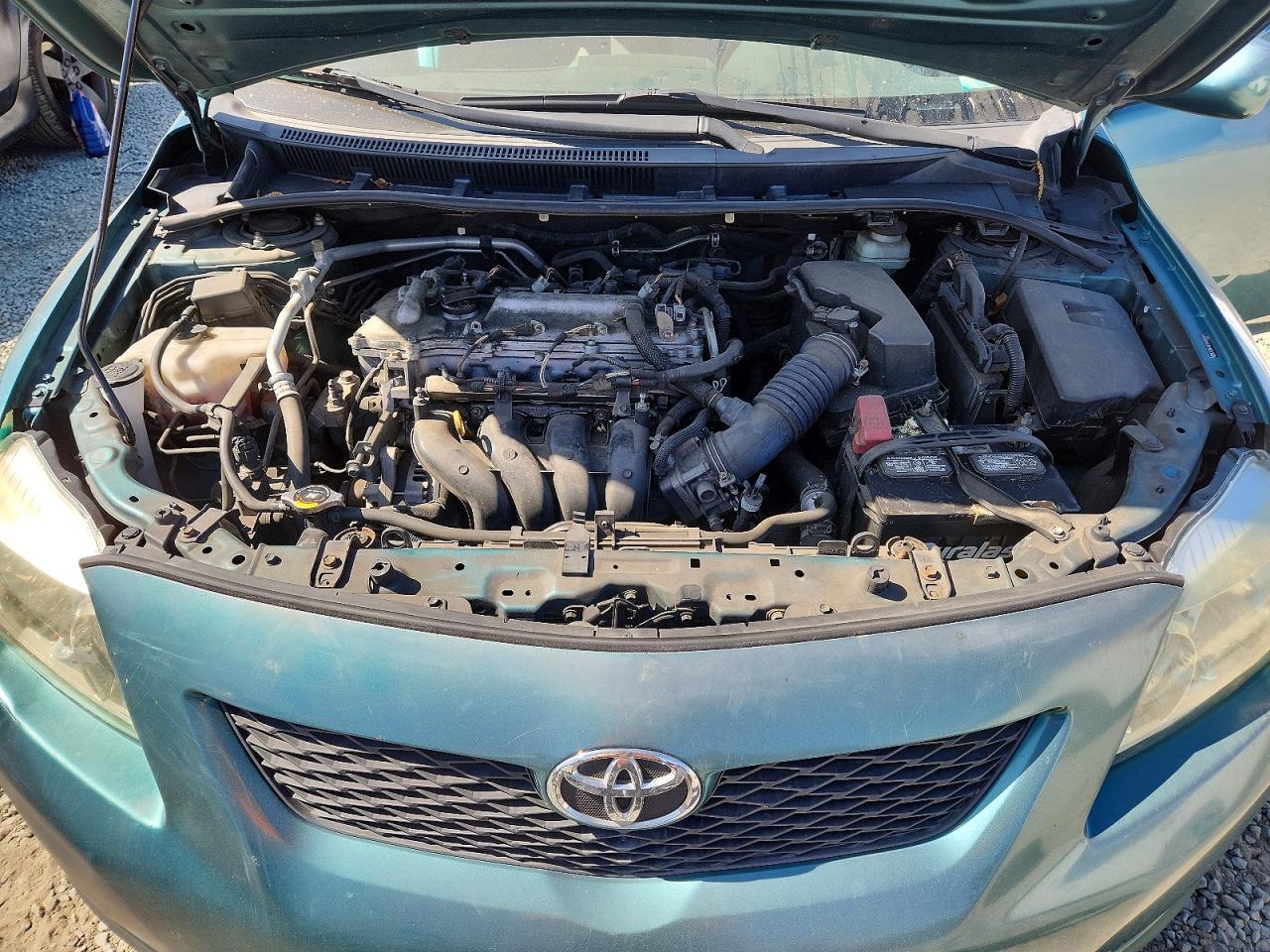 2009 Toyota Corolla Le Green vin: JTDBL40E899085469