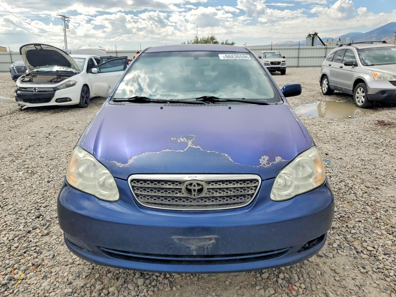 2005 Toyota Corolla Le Синий vin: JTDBR32E852065473