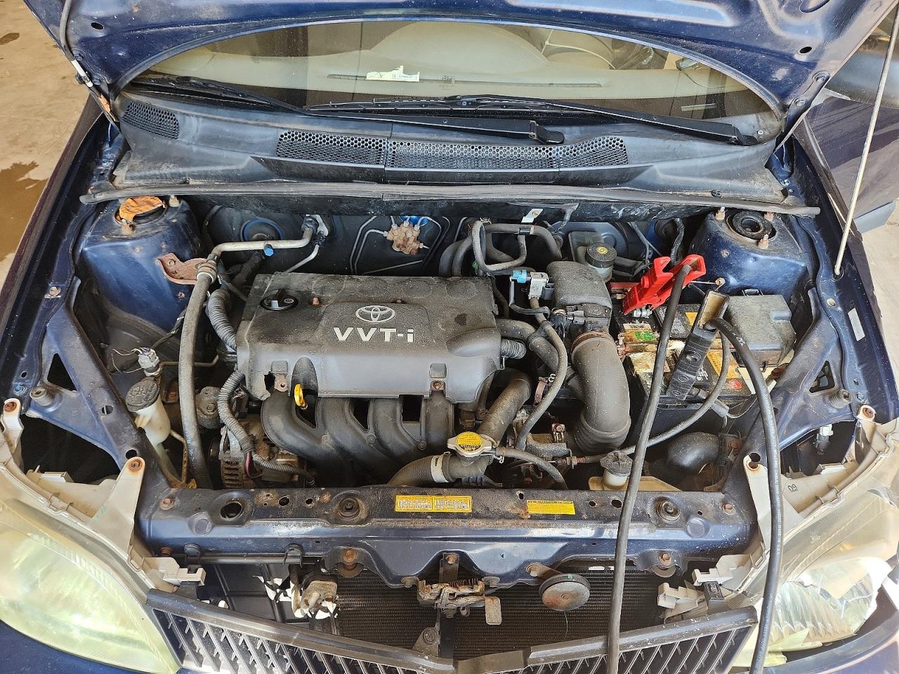 2002 Toyota Echo Base Blue vin: JTDBT123020209822
