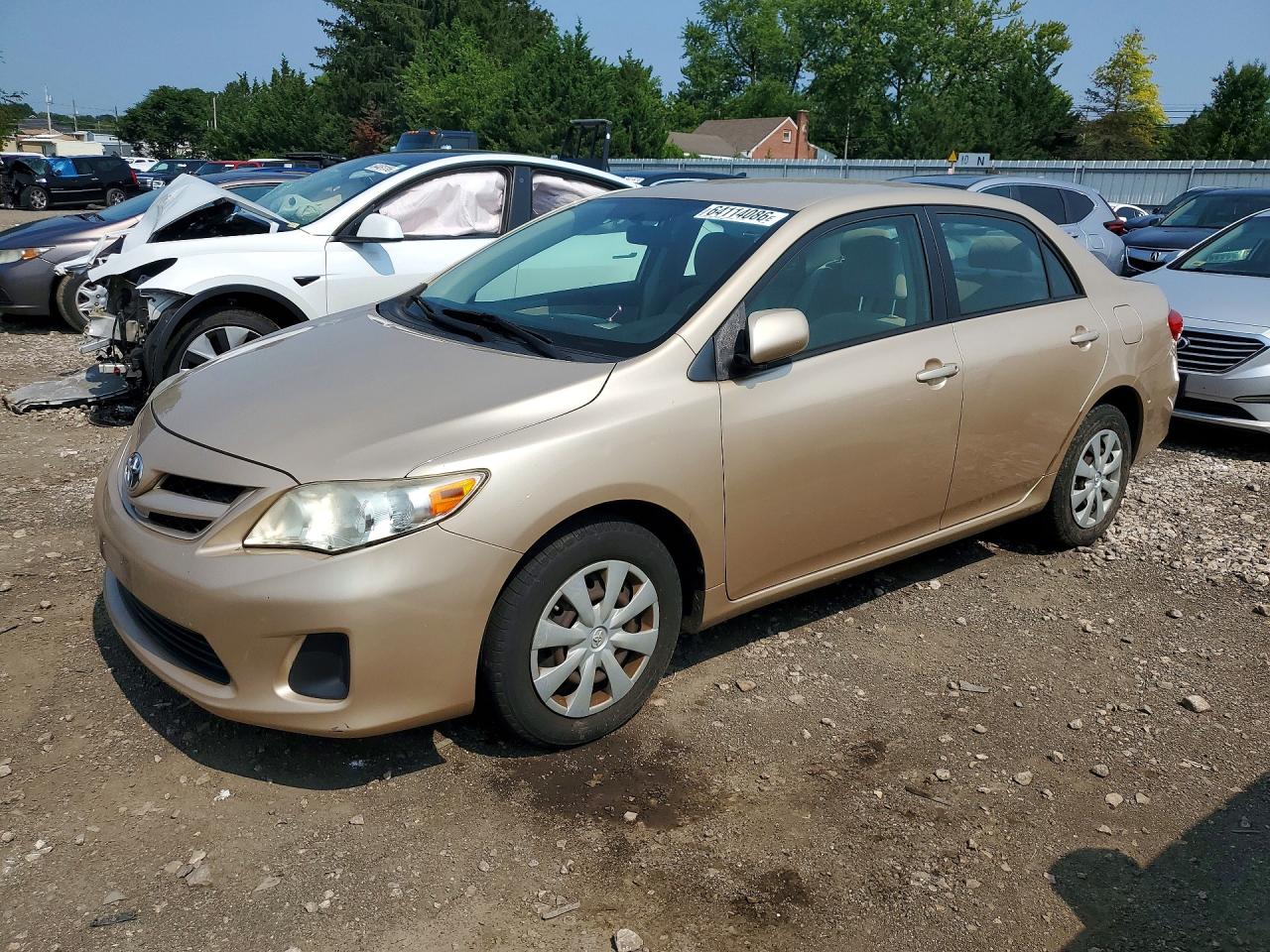 2011 Toyota Corolla Le Gold vin: JTDBU4EE0B9126060