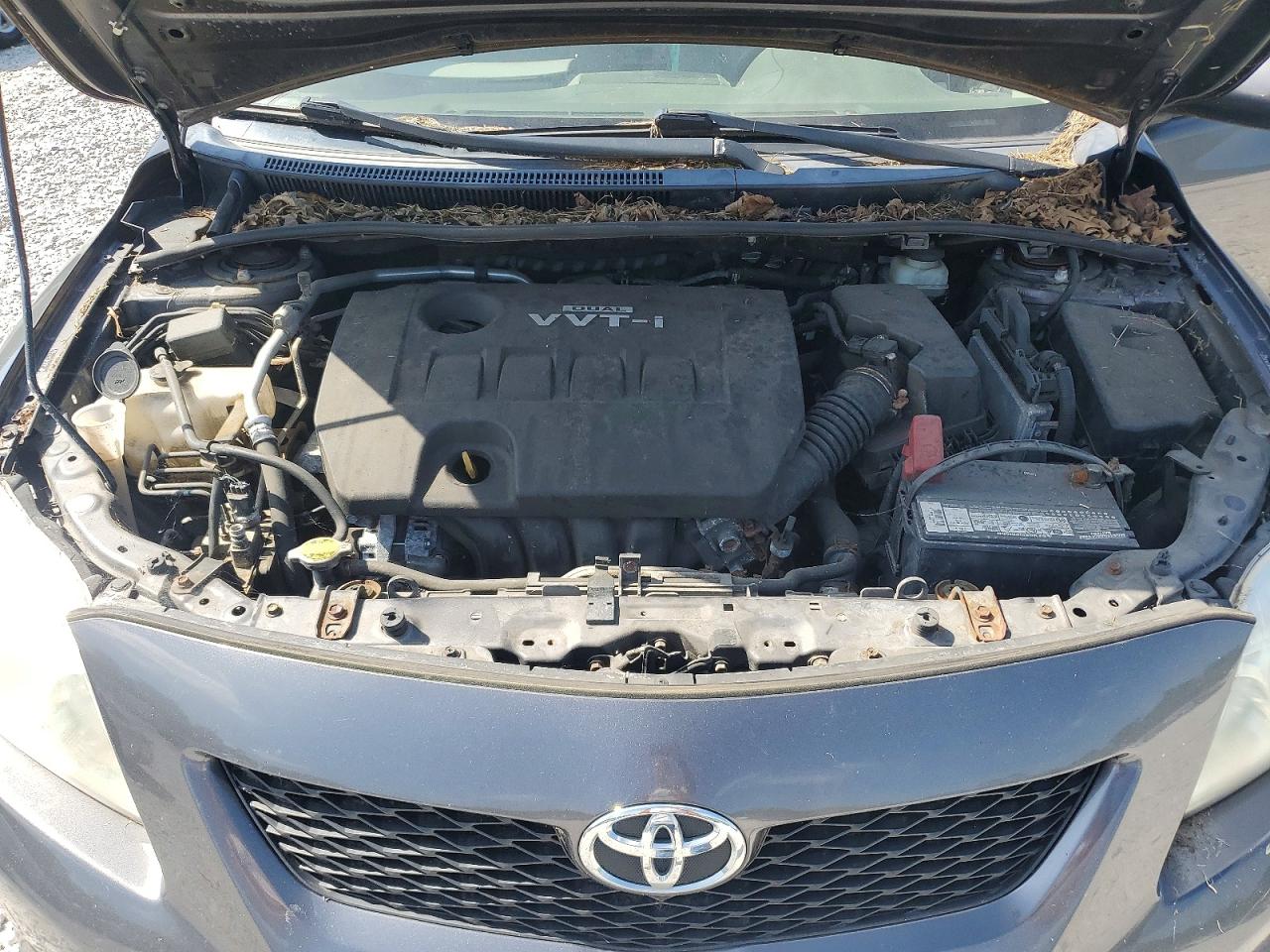 2010 Toyota Corolla Le Серый vin: JTDBU4EE2AJ062231