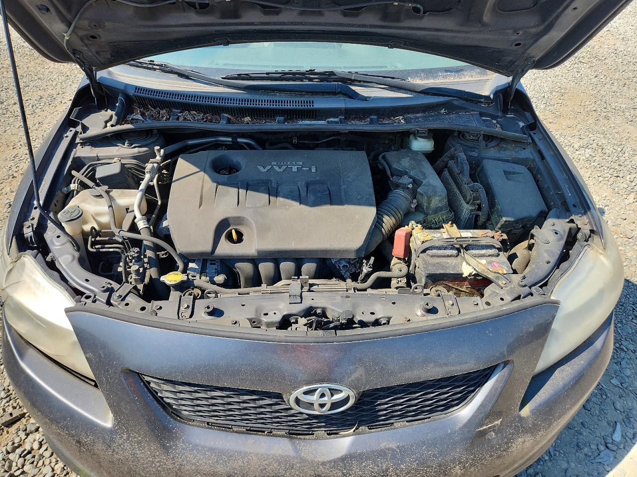 2010 Toyota Corolla Le Silver vin: JTDBU4EE3AJ066367