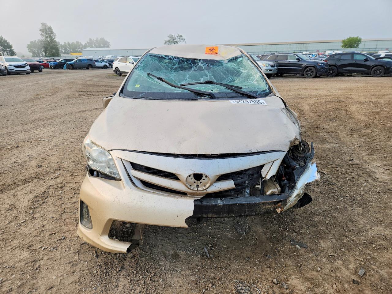 2011 Toyota Corolla Le Beige vin: JTDBU4EE3B9140311