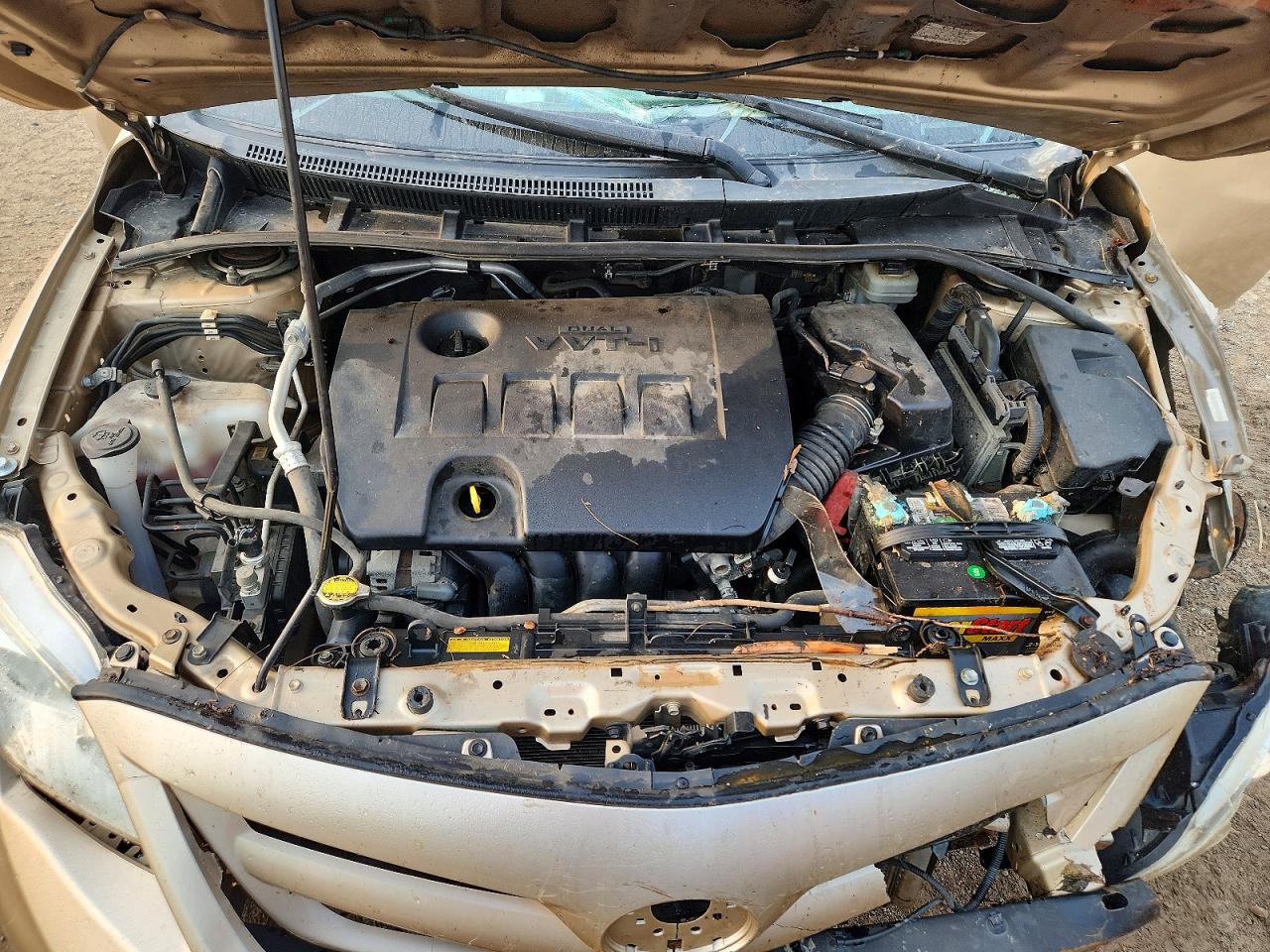 2011 Toyota Corolla Le Beige vin: JTDBU4EE3B9140311