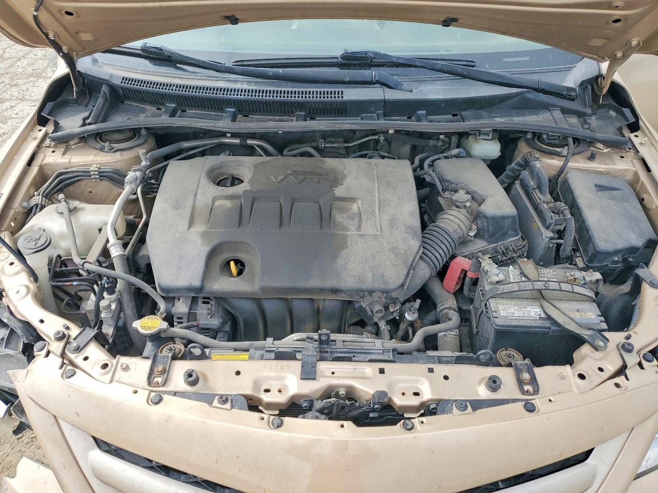 2011 Toyota Corolla Le Gold vin: JTDBU4EE4B9131584