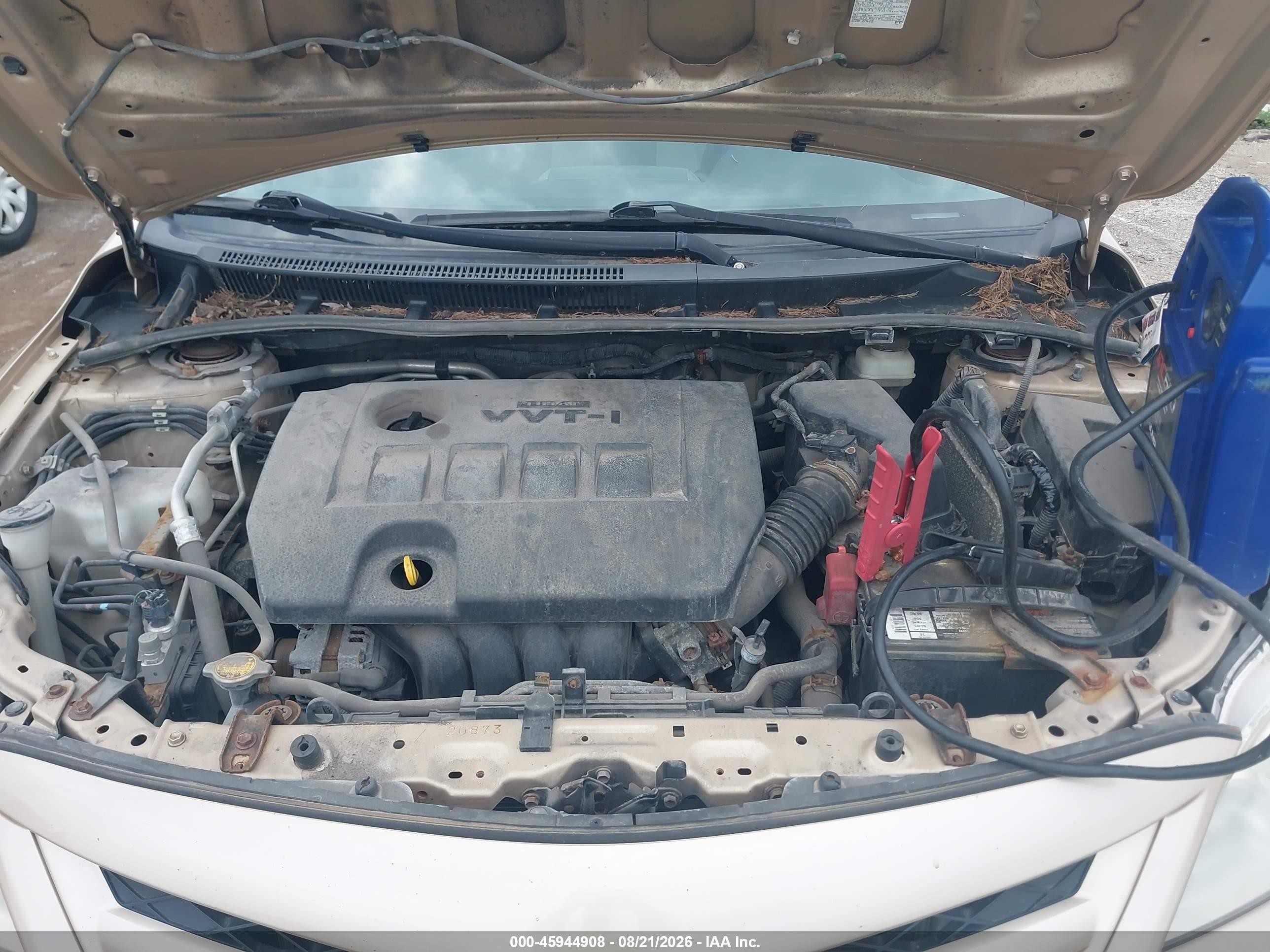 2011 Toyota Corolla Le Gold vin: JTDBU4EE5B9144943