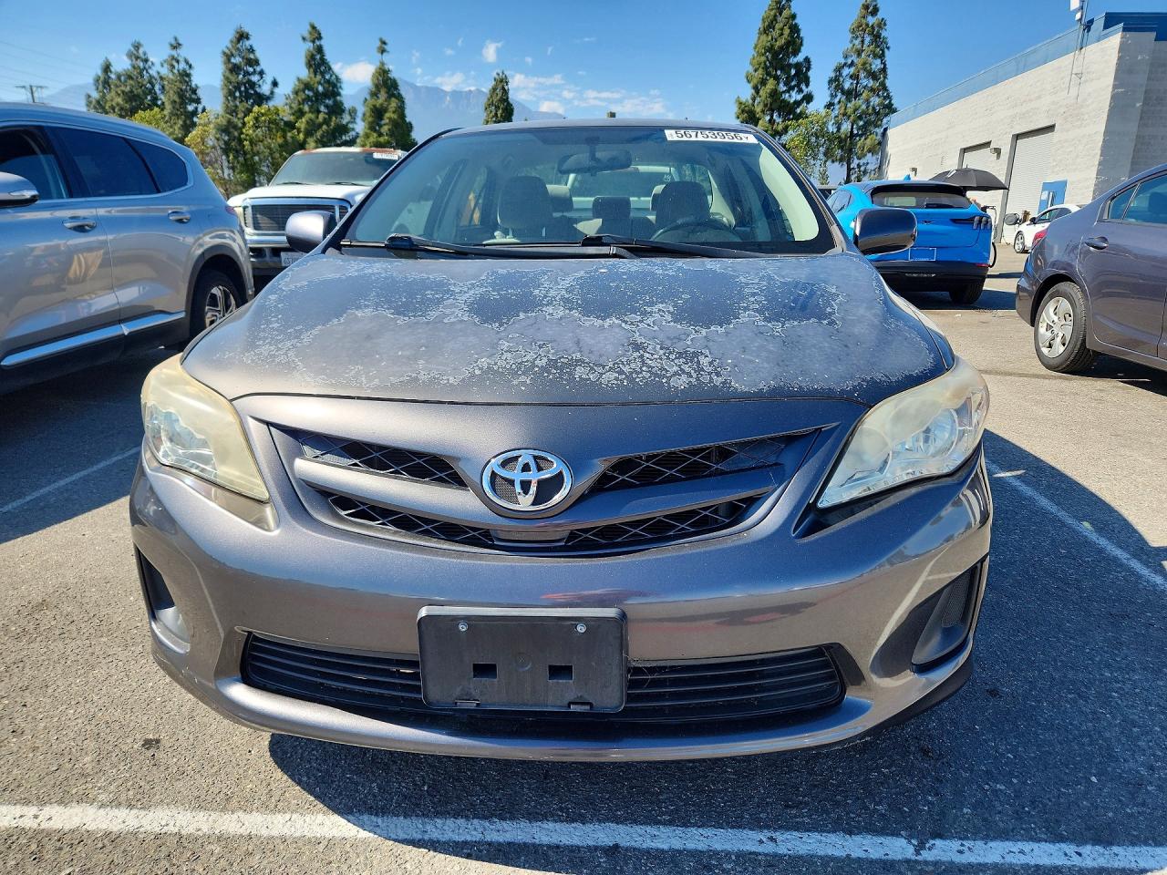 2011 Toyota Corolla Le Серый vin: JTDBU4EE8BJ090598