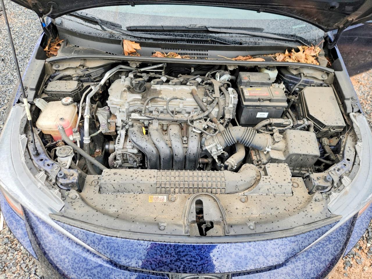 2020 Toyota Corolla Le Синий vin: JTDEPRAE5LJ060001