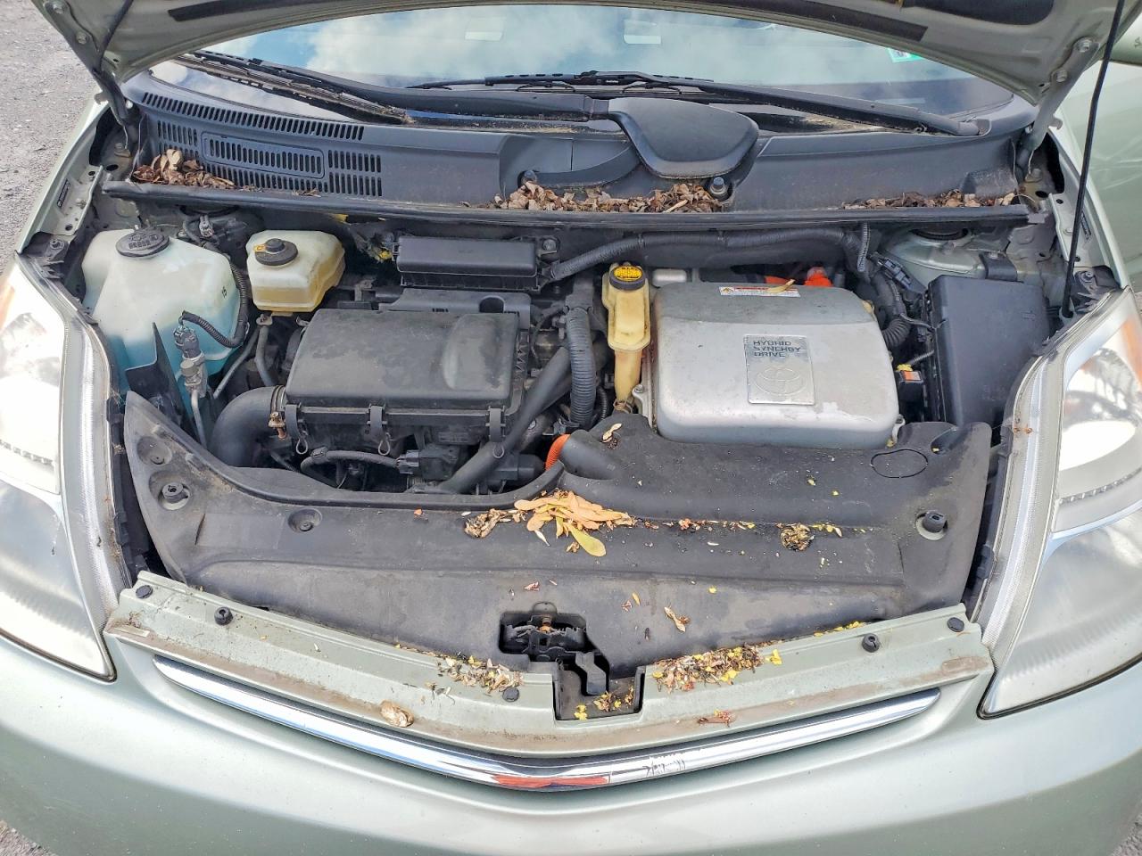 2009 Toyota Prius Зеленый vin: JTDKB20U393496926