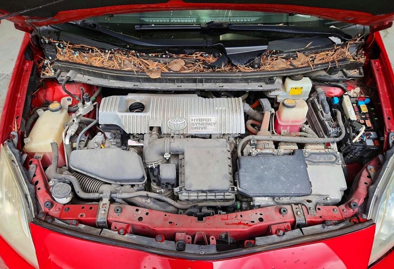2011 Toyota Prius Three Red vin: JTDKN3DU3B0293114