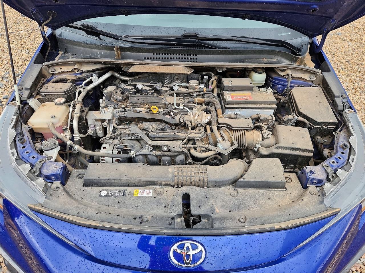 2020 Toyota Corolla Se Blue vin: JTDS4RCE3LJ051029