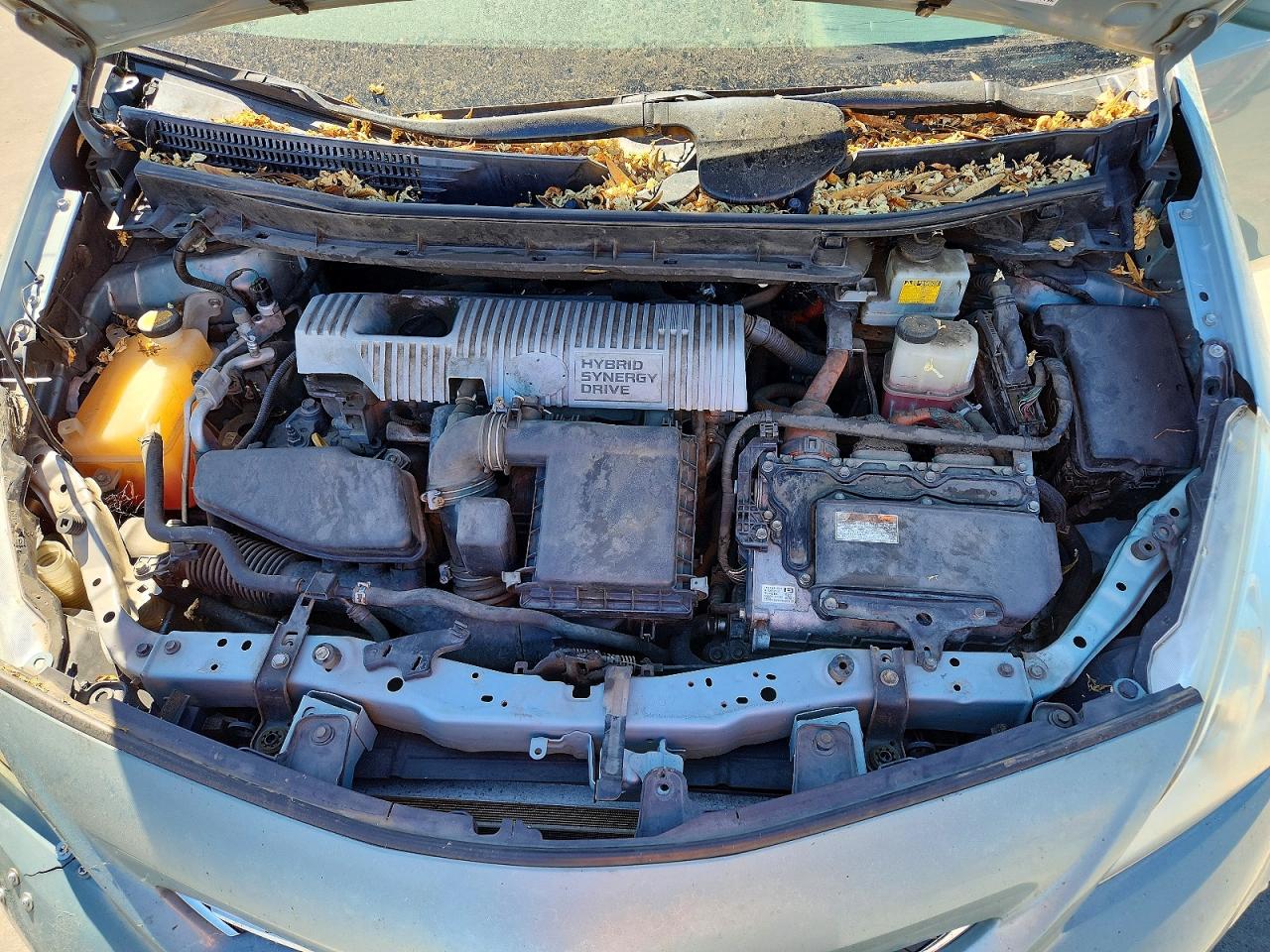 2013 Toyota Prius V Green vin: JTDZN3EU0D3286751