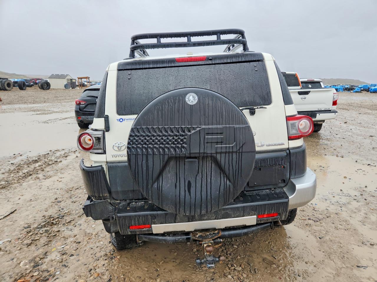 2014 Toyota Fj Cruiser Cream vin: JTEBU4BFXEK206228
