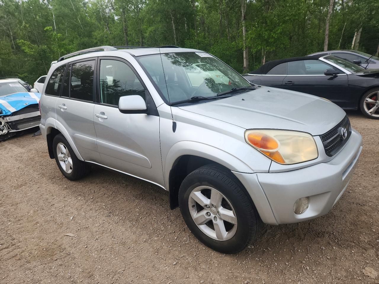 2004 Toyota Rav4 Base Silver vin: JTEHD20V046014235